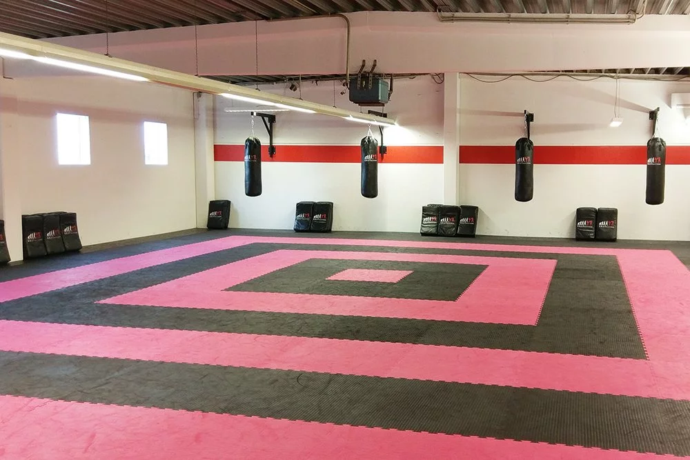 Krav Maga Sankt Augustin Halle